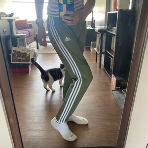 Green & white Adidas sweatpants